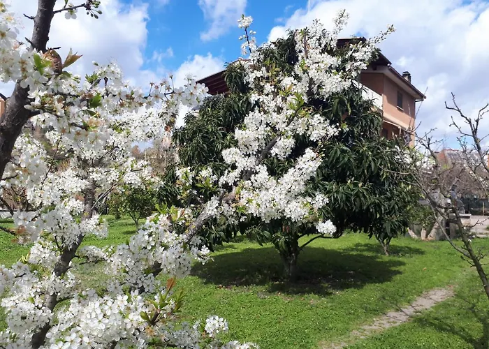 B&B Il Giardino di Gabri Roma